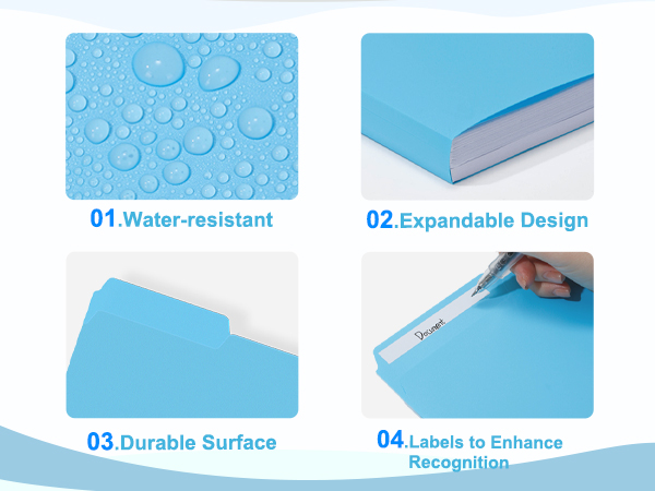 plastic color file folder