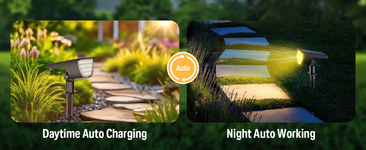 Solar lights outdoor-2