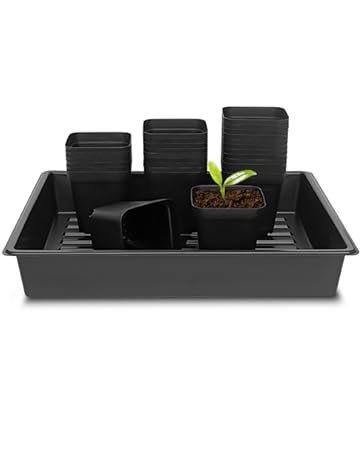 https://m.media-amazon.com/images/S/aplus-media-library-service-media/adbbedcf-2239-45ea-8705-7f8a32b82b98.__CR0,45,488,611_PT0_SX362_V1___.jpg