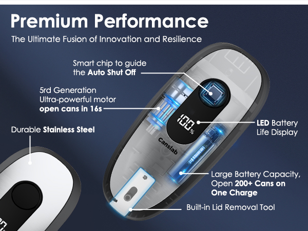 The Ultimate Fusion of Innovation and Resilience