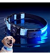 LED AirTag Dog Collar - Brightest Light Up Dog Collars, Daisy L | IP68 Waterproof Air Tag Dog Col...