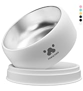 dog food bowl