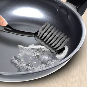 Dish Brush