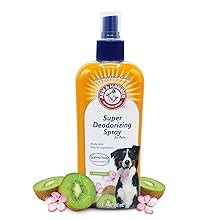 dog breath treatment toothpaste for dogs small breed doggy toothpaste and toothbrush