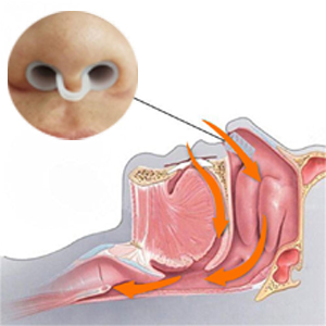 anti snoring devices for women