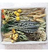 DIY Natural Dried Flower Set, Bulk Dried Flowers, Dried Flowers with Stems, Handmade Dried Flower...