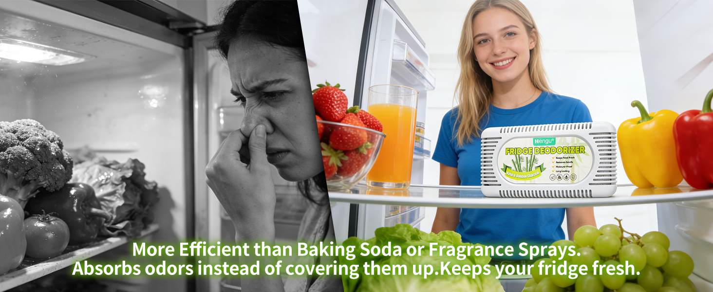 refrigerator deodorizer