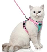 rabbitgoo Cat Harness and Leash Set, Escape Proof Soft Adjustable Vest Harnesses for Outdoor Walk...