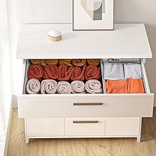 sock organizer