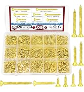 1090pcs Flat Head Self Tapping Wood Screws Assortment Fasteners Kit, Golden Phillips Drive Counte...