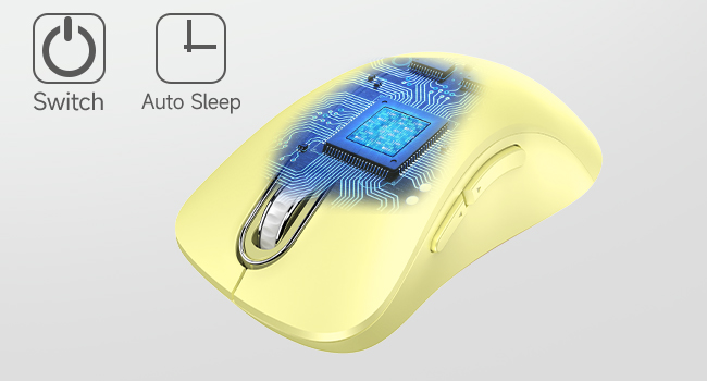 mouse