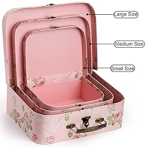 Suitcases Storage Box