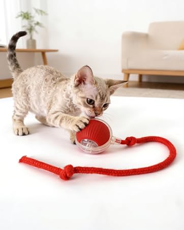 Interactive toys for cats: smart self-moving ball for indoor exercise and feline mental health.