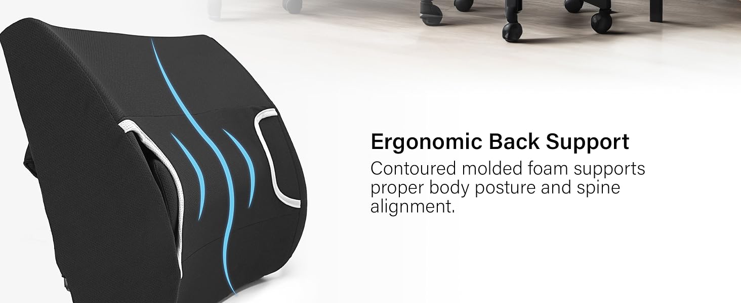 Ergonomic Back Support
