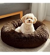 JOLLYVOGUE Dog & Cat Bed, Calming Anti-Anxiety Pet Bed for Small Dogs, Fluffy Donut Cushion for S...