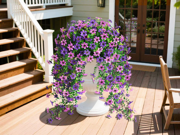 hanging plants