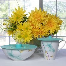 Teal silicone lids on cup and bowl.