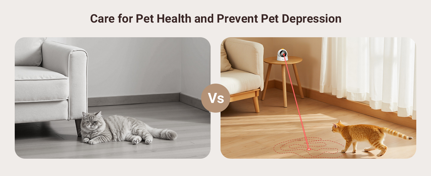 Laser Cat Toys