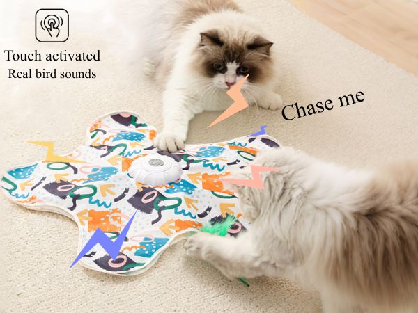 cat hunting mat