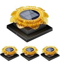 https://m.media-amazon.com/images/I/51l6NtERtKL.__AC_SR200,225___.jpg