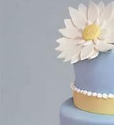 acrylic cake disk
