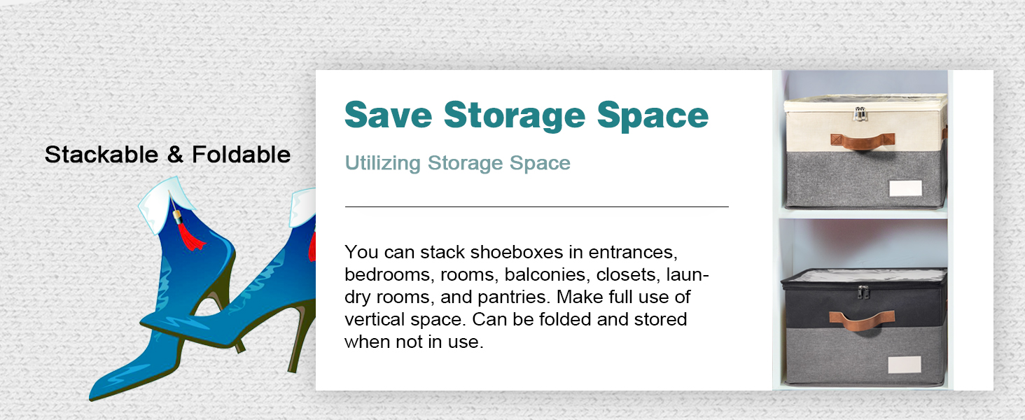 Shoe Organizer for Closet