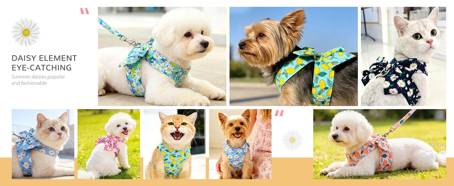 cute dog harness