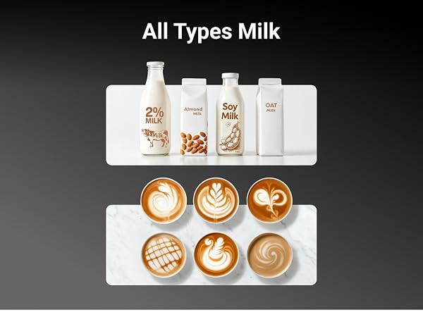 Milk Frother