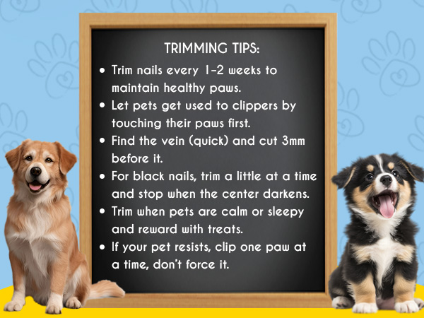 crafted for passionate pet care