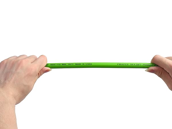 PC19