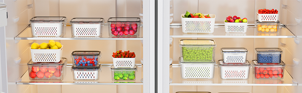 Fruit Storage Containers
