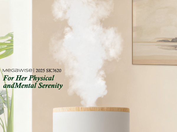humidifier