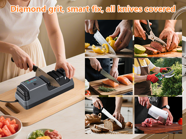 Electric Knife Sharpeners for Kitchen Knives