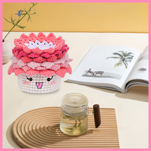 Crochet Kit