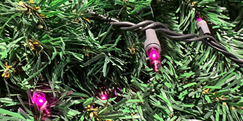 purple lights