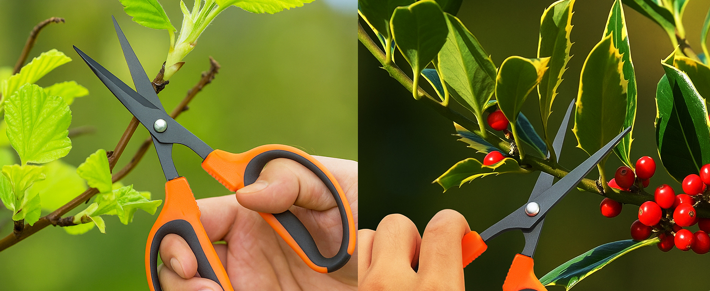 garden scissors