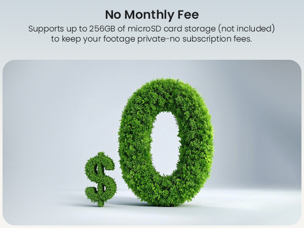 No Monthly Fee