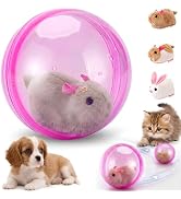 Cat Toy Automatic Moving Ball - Interactive Cat Toys for Indoor Cats, Self-Rolling Automatic Cat ...