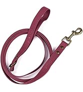 Wisedog Long Leash for Dogs Outside, 10FT/16FT/33FT/49FT Waterproof Training Leashes with Antique...