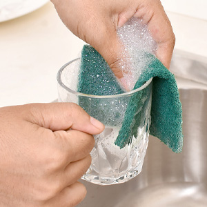 dish scrubber