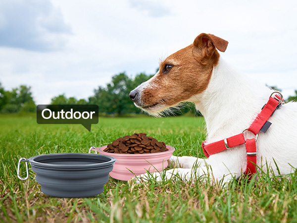 collapsible dog water bowls