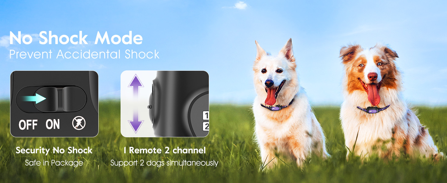 dog shock collar