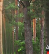 15-Amp Electric Wood Chipper