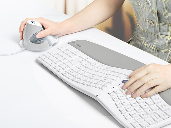 ERGO MOUSE