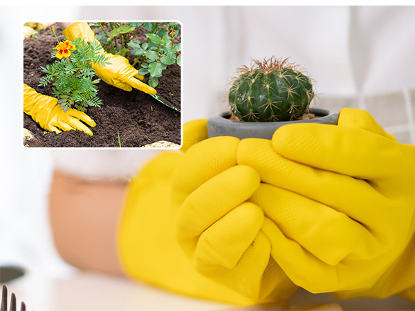 Dishwashing Gloves