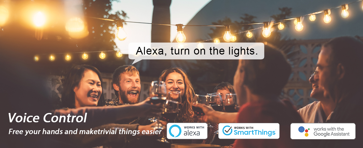 outdoor smart plug with voice control