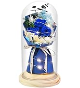 HVY Preserved Real Flowers Bouquet Gifts for Her,Forever Flowers Gift for Women,Preserved Blue Ro...