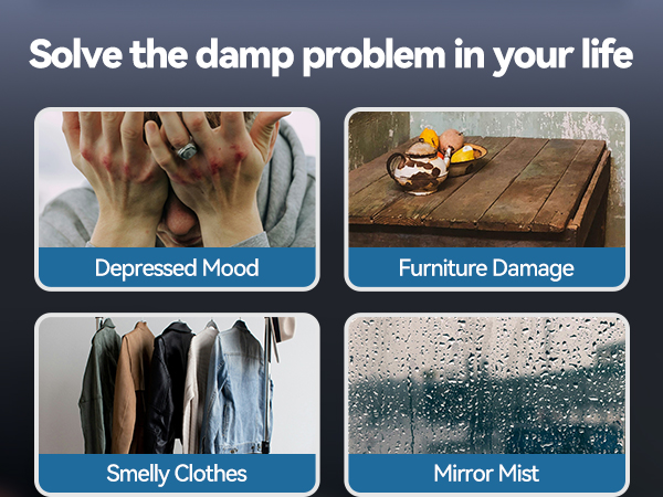 Dehumidifier