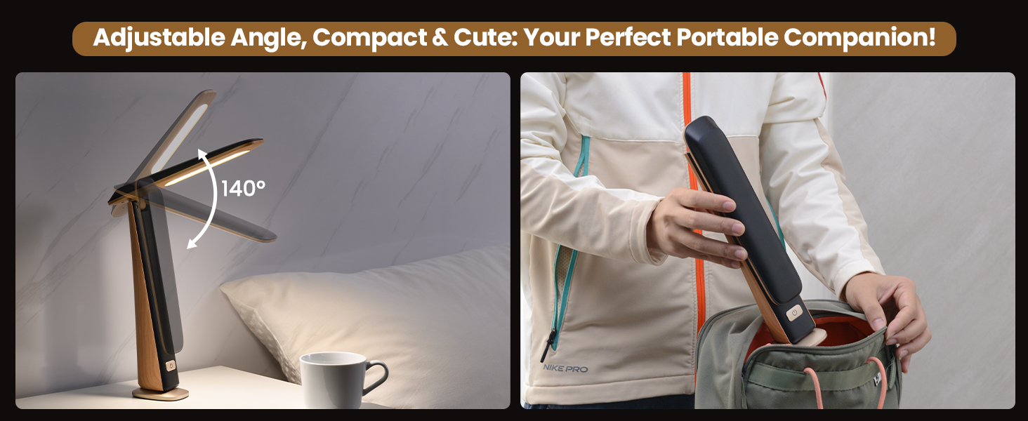 portable desk lamp