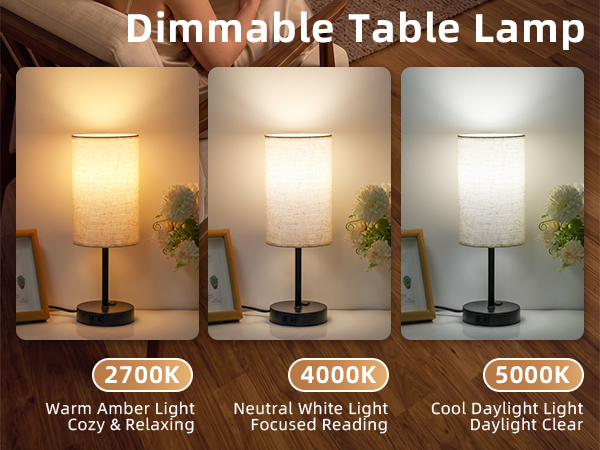 ZJOJO Table Lamps Set of 2 Lamps for Bedrooms Set of 2 Bedside Lamps Nightstand Lamps Set of 2